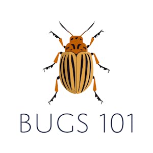 Bugs 101 Insect-Human Interactions