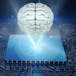 NVIDIA: Fundamentals of Machine Learning