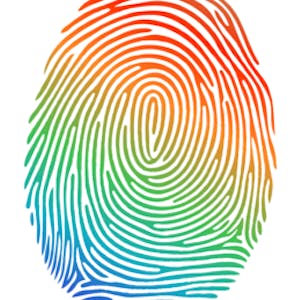 Pluralidades em Português Brasileiro