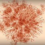 Data Visualization