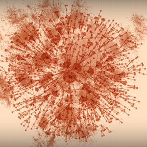 Data Visualization