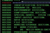 IBM COBOL Data and File Management