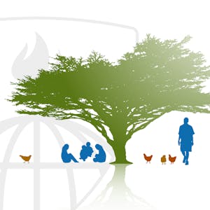 Diagnosing Health Behaviors for Global Health Programs from Johns Hopkins University online course platform