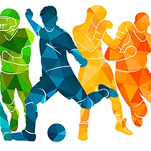 Image for the Analytics, Law, and Athlete Representation course