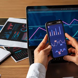 Image for the Microeconomics: Foundations and Insights online course