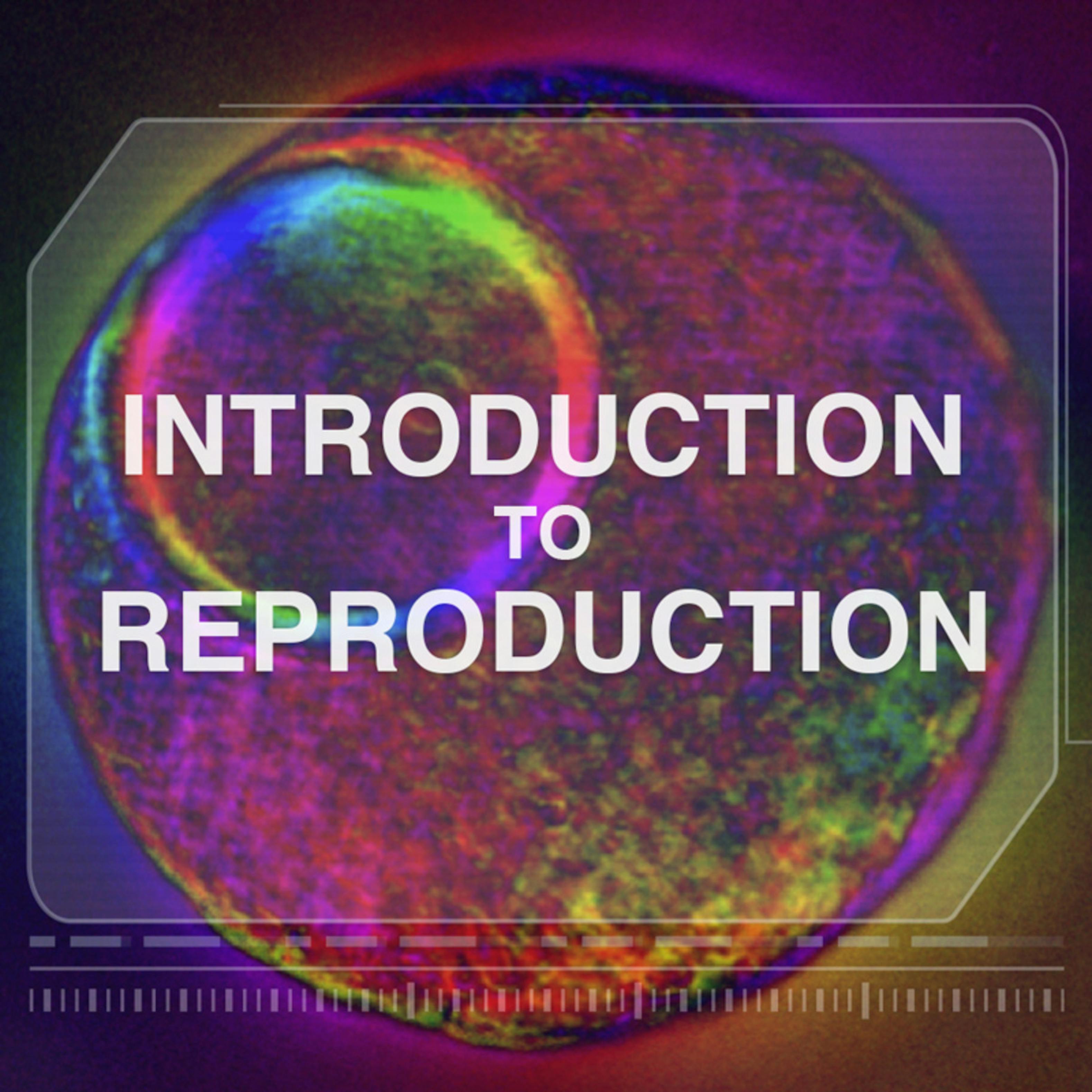 Introduction To Reproduction Coursera