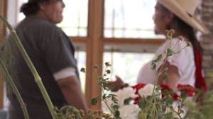 Curanderismo: Traditional Healing Using Plants