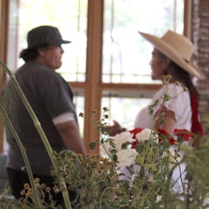 Curanderismo Traditional Healing Using Plants