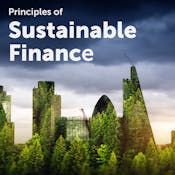 지속 가능한 금융의 원칙
