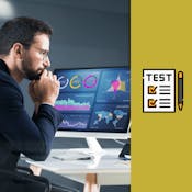 Certified Business Analysis Professional Practice Exam