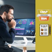 Certified Business Analysis Professional Practice Exam