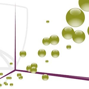 Exploratory Data Analysis