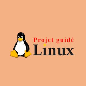 Gestion des utilisateurs et des groupes sous Linux