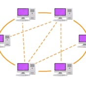 Peer-to-Peer Protocols and Local Area Networks