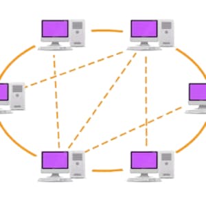 Peer-to-Peer Protocols and Local Area Networks - Online CE Course