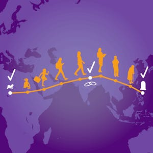 État civil et statistiques pour la santé des populations - Online CE Course