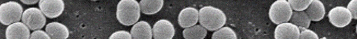 Bacteria And Chronic Infections Coursera