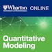 Grundlagen der quantitativen Modellierung