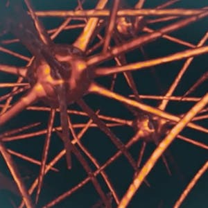 Question Reality: Matter - Online CE Course