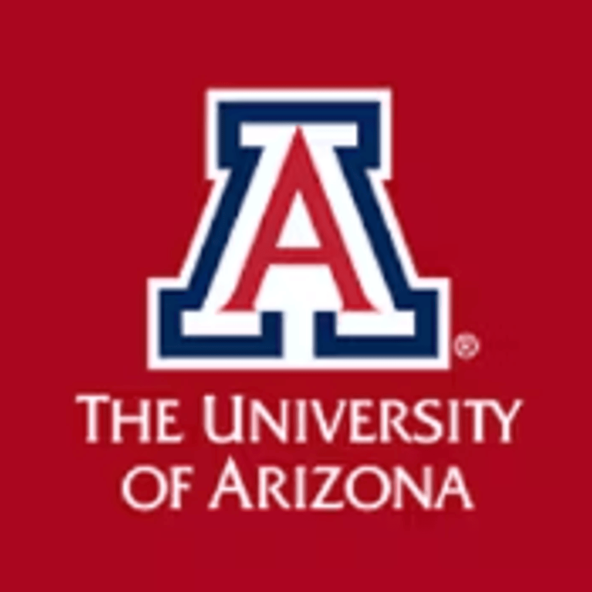 Strategic Digital Marketing: Digital Marketing Foundation