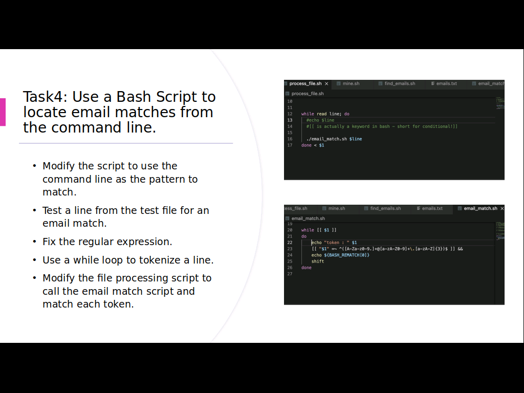Extract Text Data With Bash And Regex