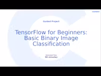 TensorFlow for Beginners: Basic Binary Image Classification