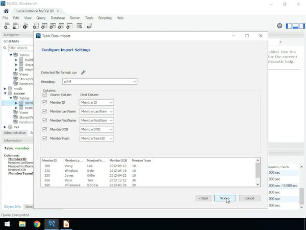 Create a Database with the Modeling Tool in MySQL Workbench