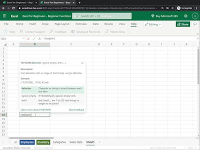 Excel for Beginners: Beginner Functions