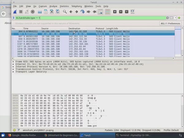 Wireshark for Beginners: Capture Packets (Short Course) | Coursera