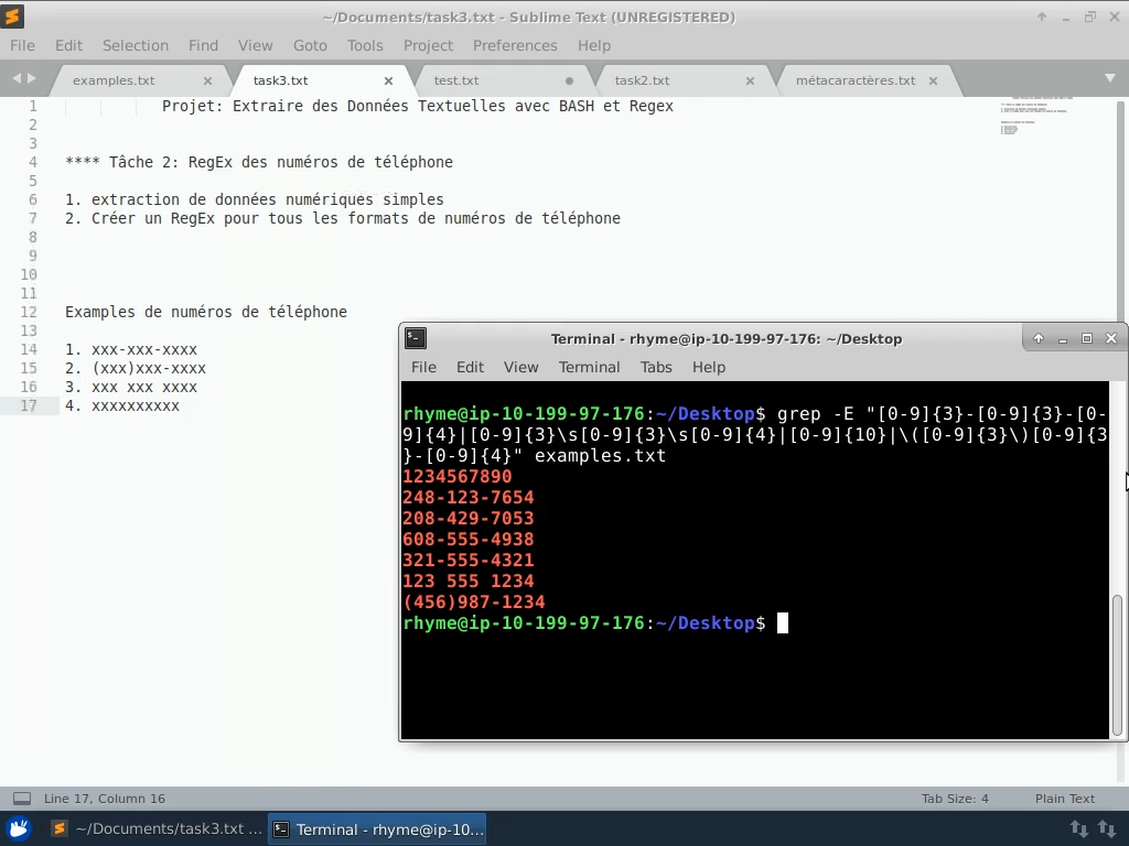 Extraire Des Donnees Textuelles Avec Bash Et Regex