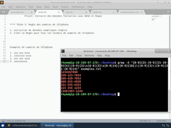 Extraire Des Donnees Textuelles Avec Bash Et Regex Extraire Des Donnees Textuelles Avec Bash Et Regex