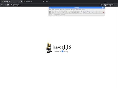 Getting Started with ImageJ (Short Course) | Coursera