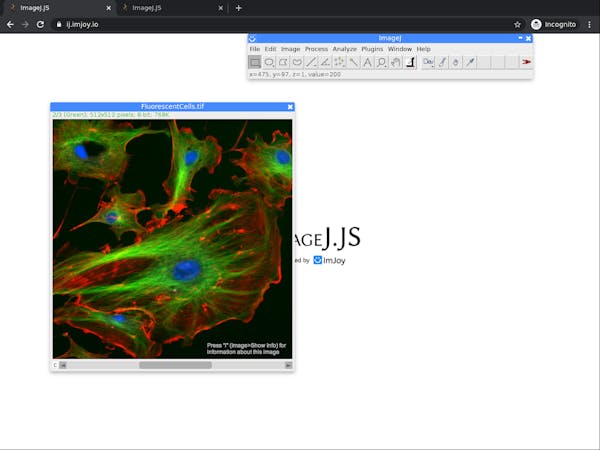 Getting Started with ImageJ (Short Course) | Coursera