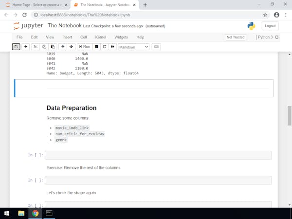Data Analysis in Python: Using Pandas DataFrames