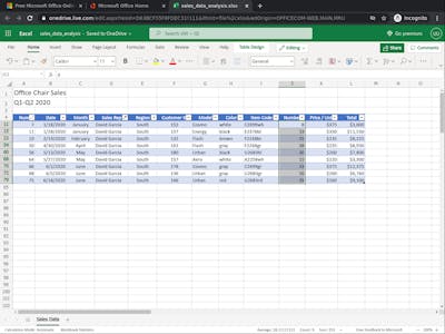 Introduction to Data Analysis using Microsoft Excel (Short Course ...