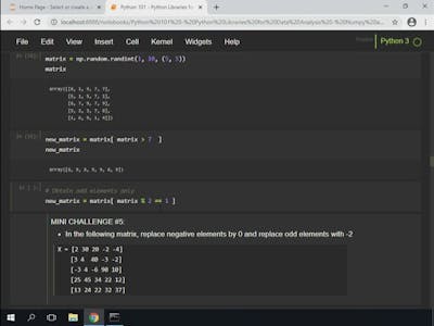 Python for Data Analysis: Pandas & NumPy (Short Course) | Coursera