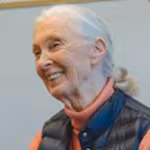 Dr. Jane Goodall, Ph.D., DBE