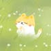 Naomi Lin