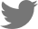 Visit us on Twitter