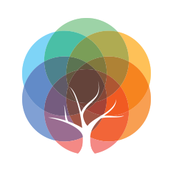 BMU - MBA - (2023-2025)