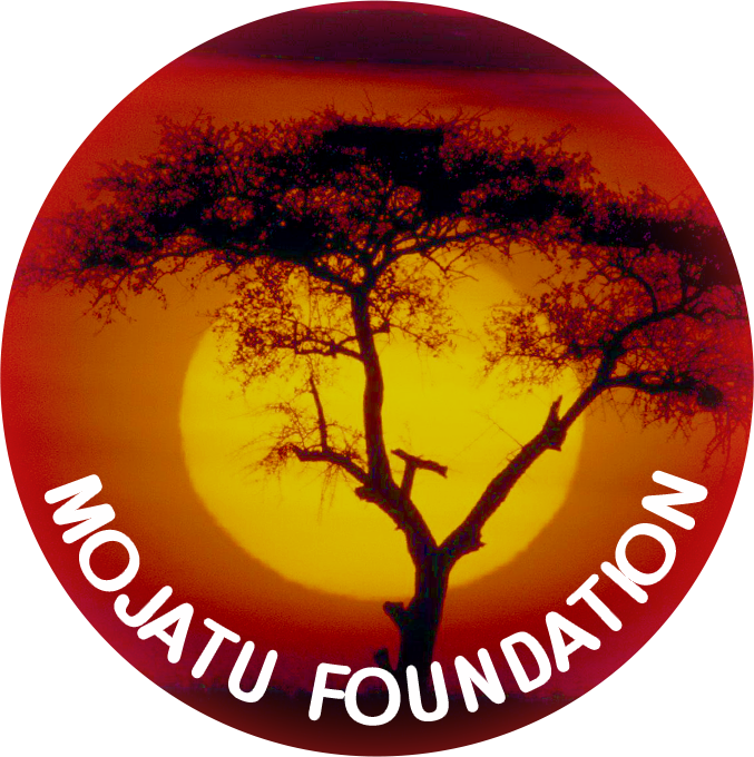 Mojatu Foundation Google Learning Program