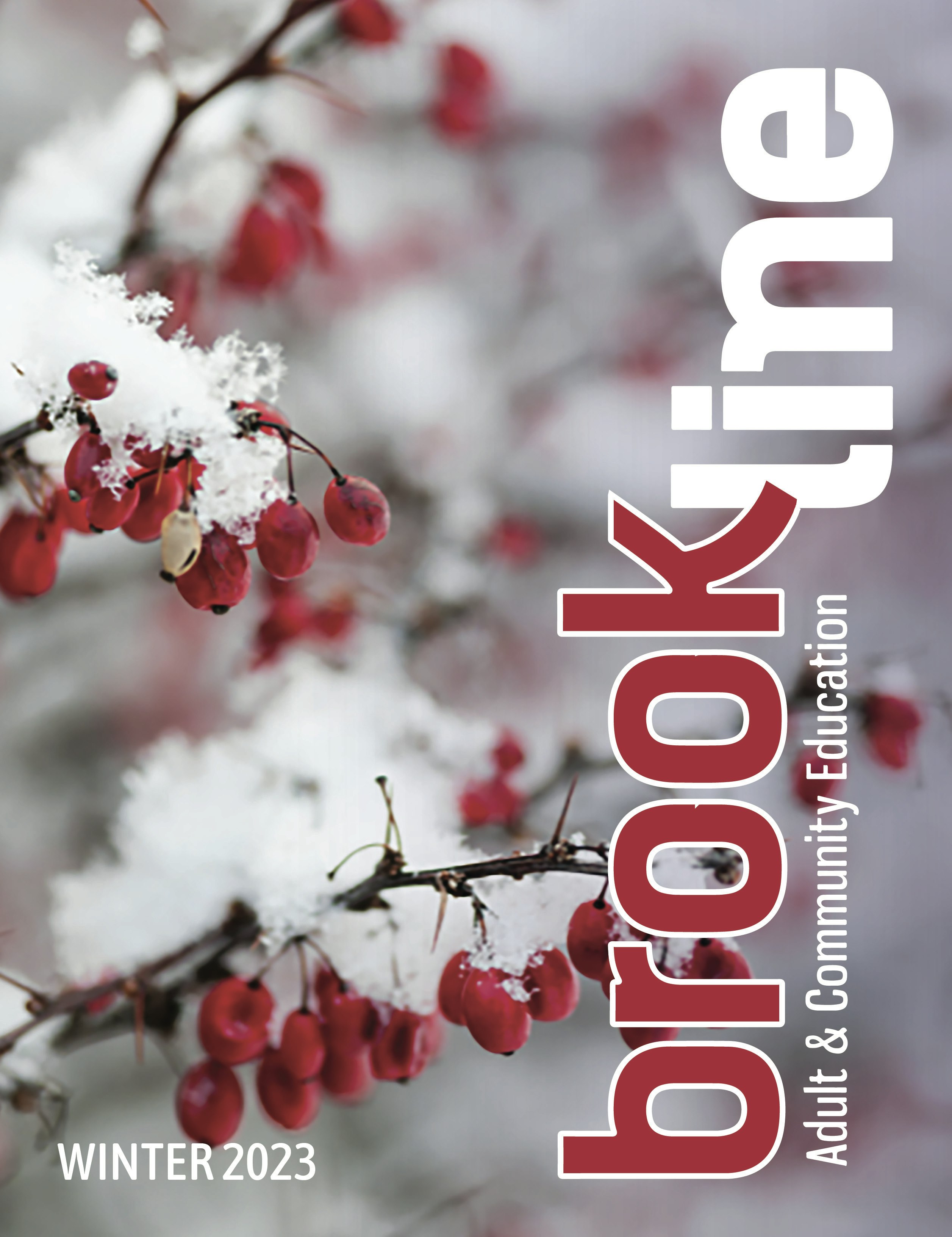 Brookline Adult Ed - Google Certification 