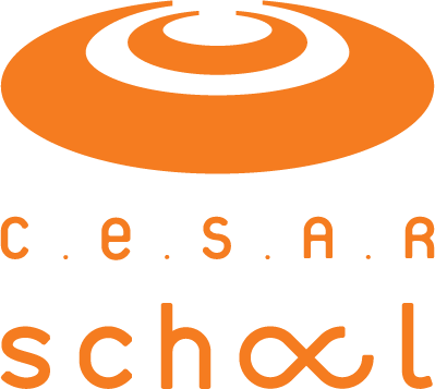 CESAR School