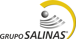 Grupo Salinas