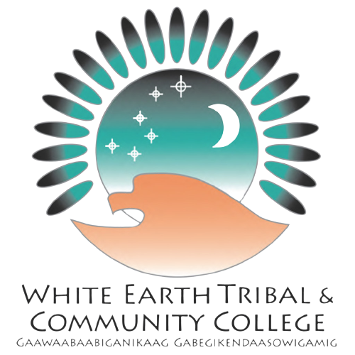 Google Career Certificates