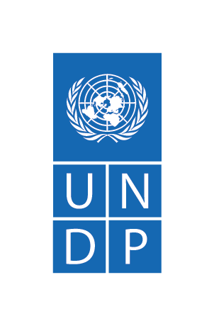 Accountant (Financial Management) L2