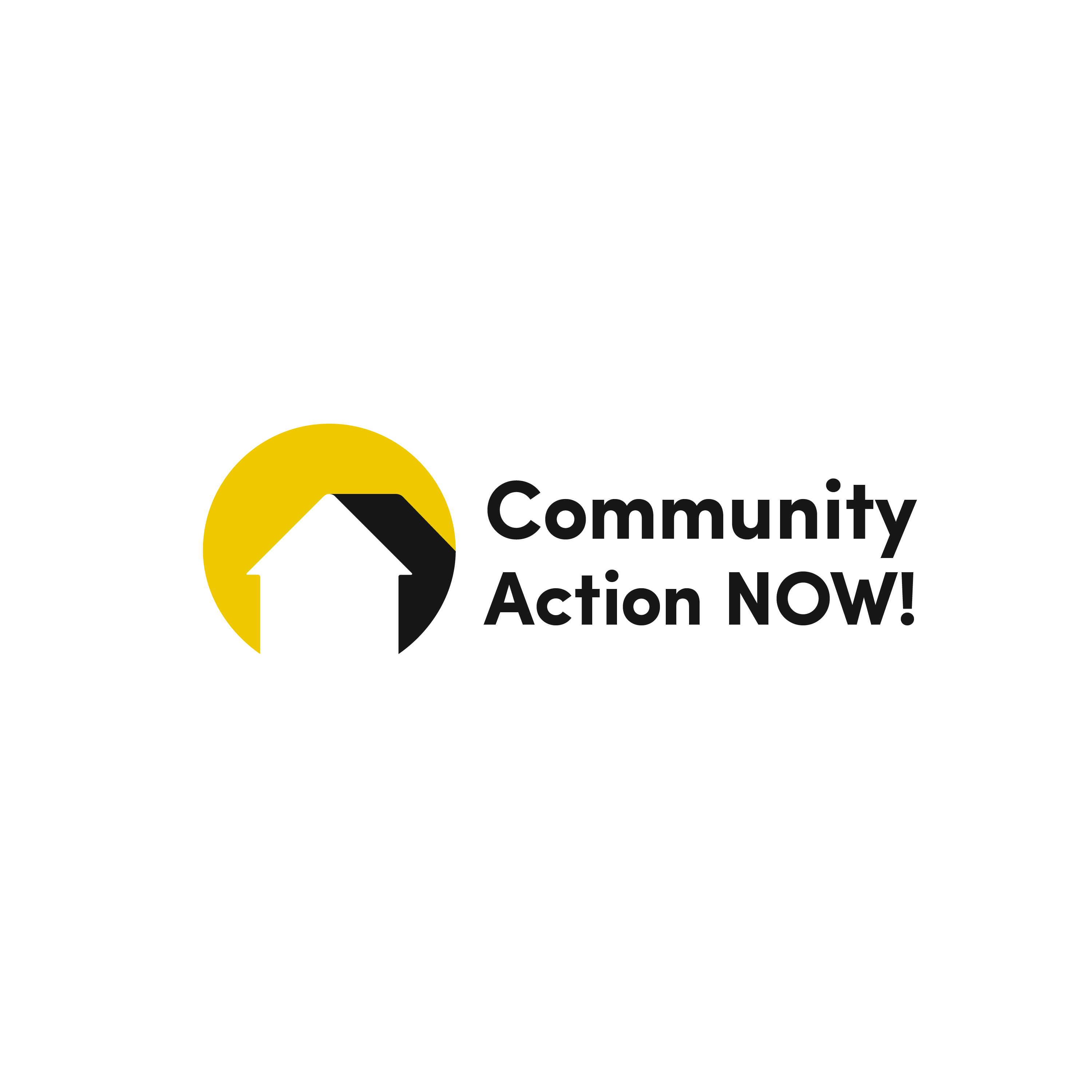 Community Action NOW