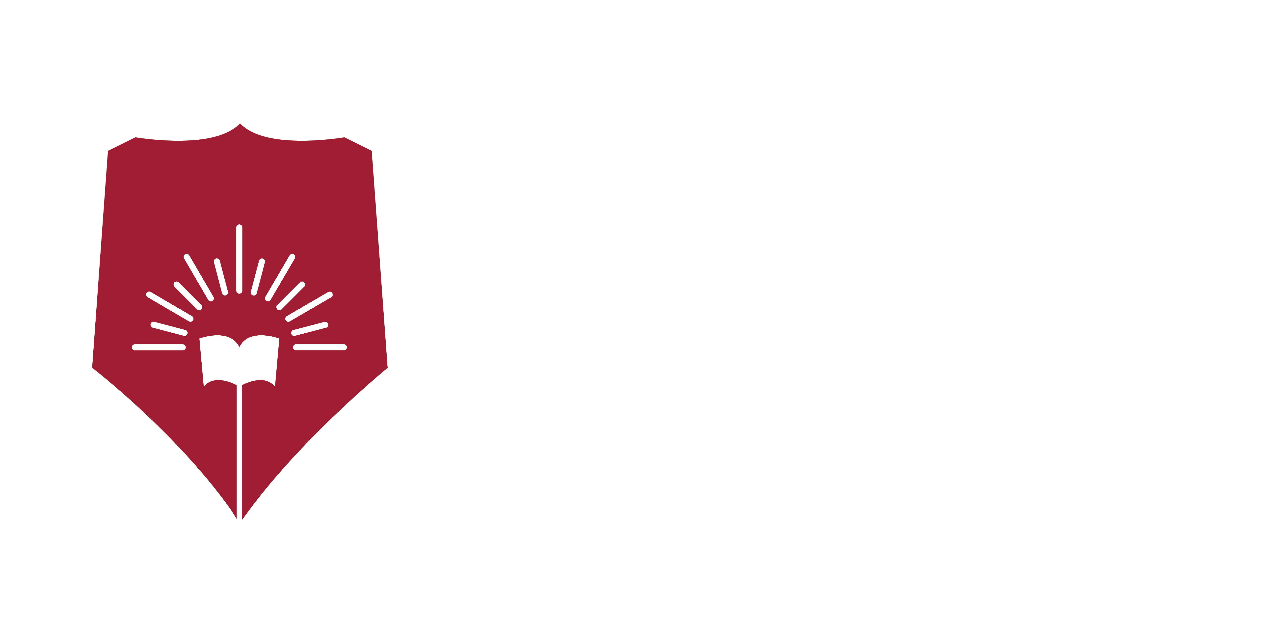D Y Patil University Pune
