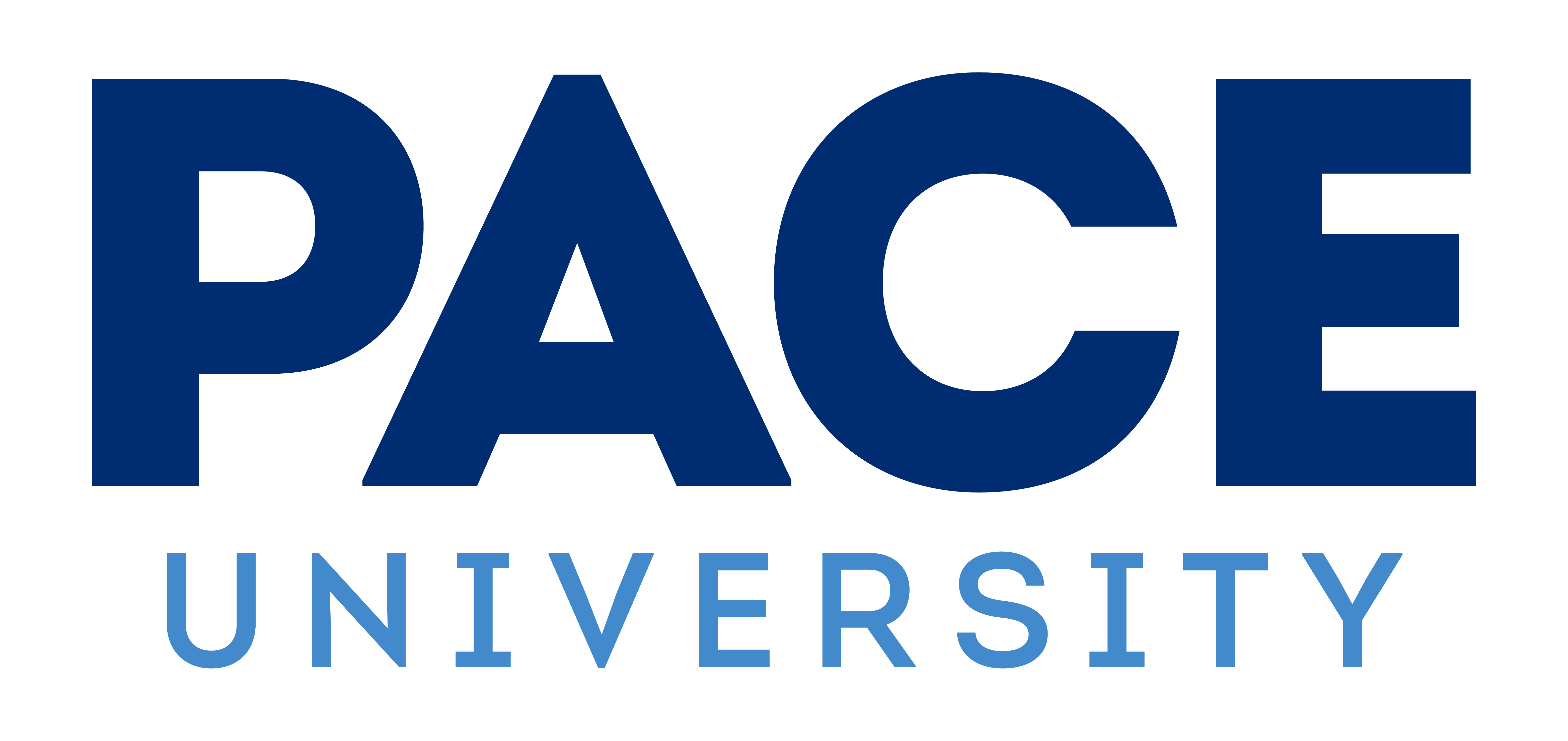 Pace University Google Learning Program