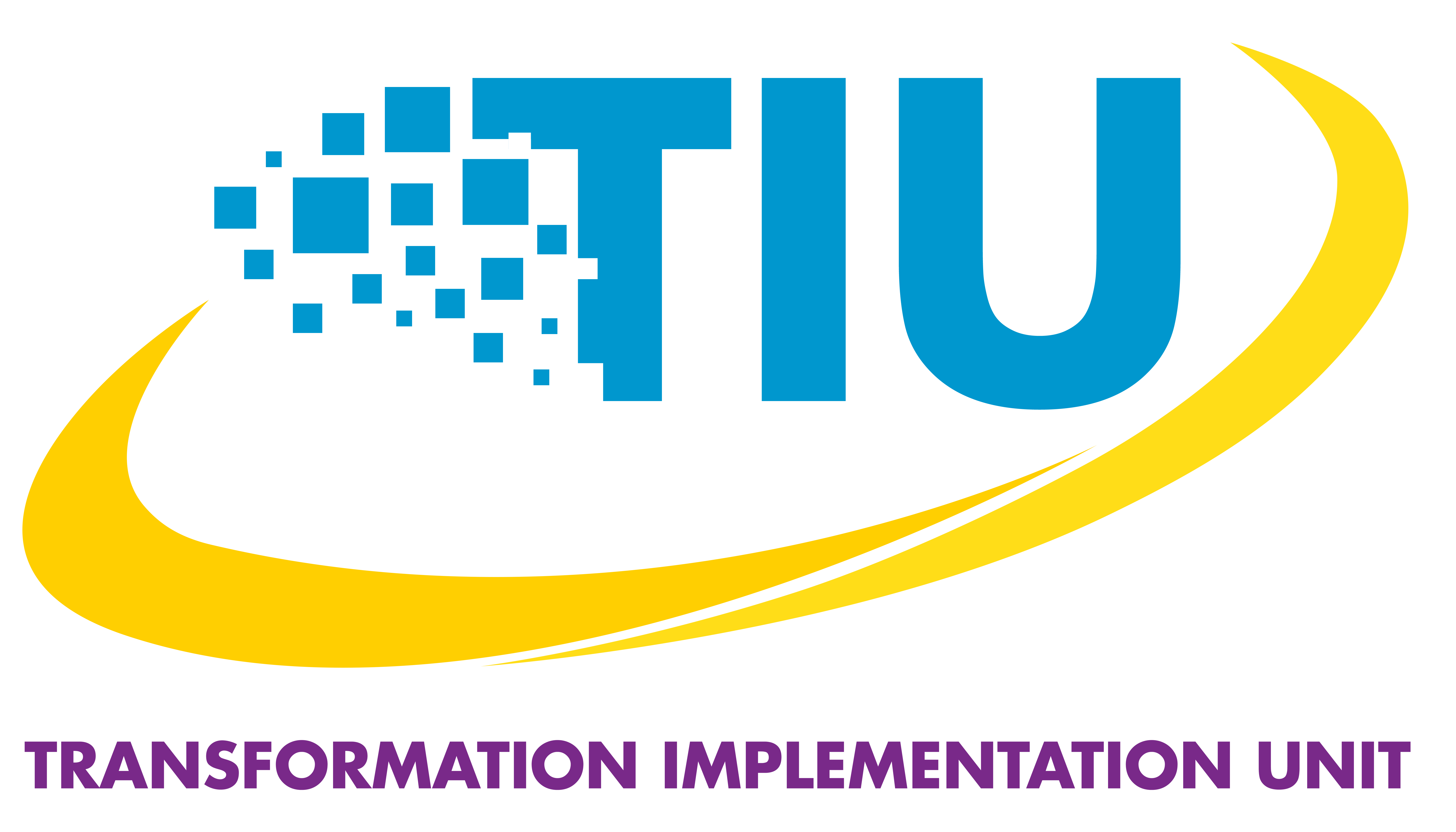 Jamaica Transformation Implementation Unit